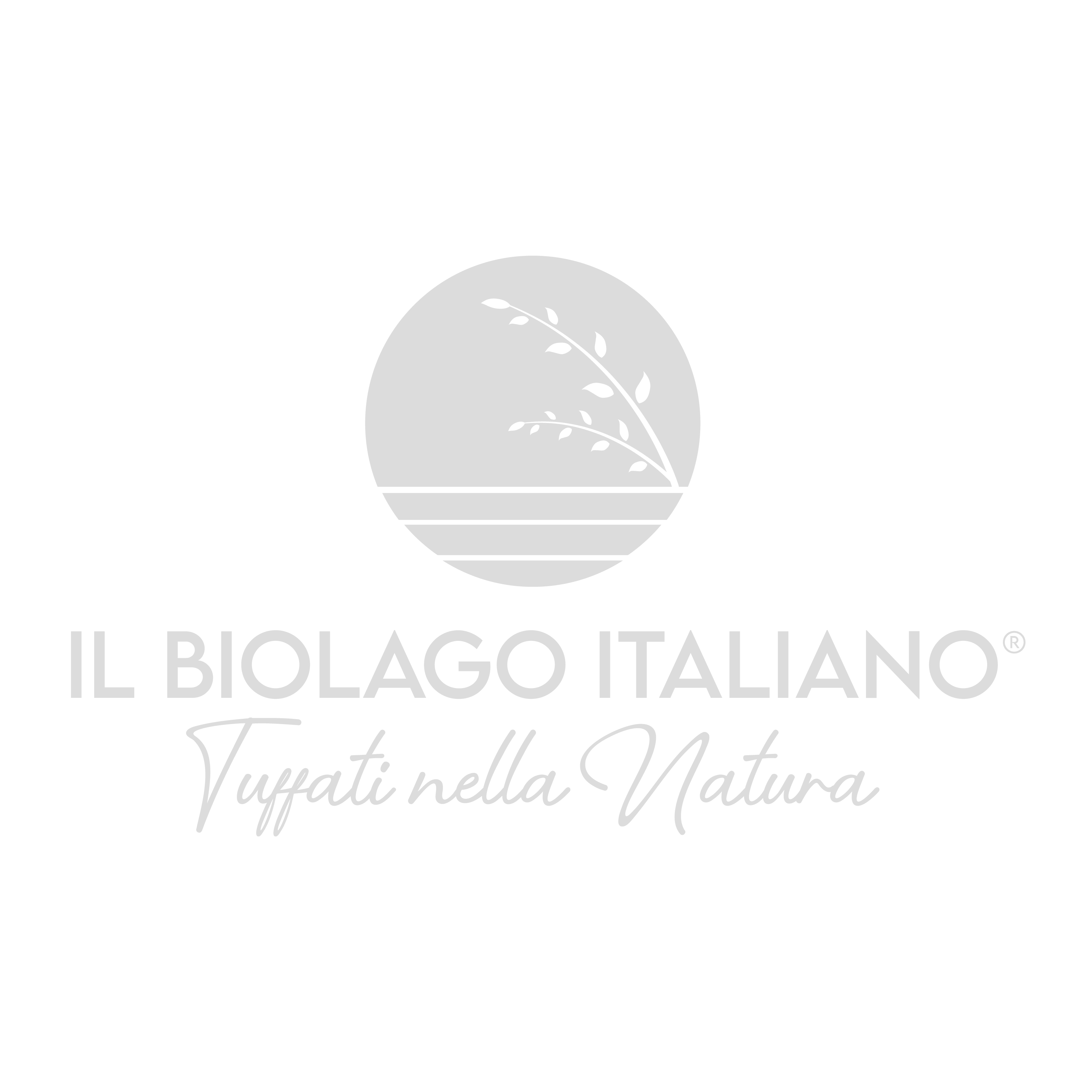 02 LOGHI BRANDITUDE7